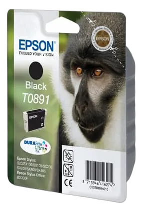 Epson Cartouche T0891 Noire — vue 1