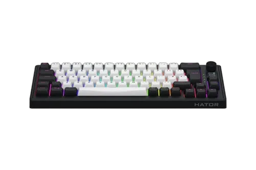 Skyfall 65 MAG Ultima 8K - Magnétique/Sans-Fil/RGB#