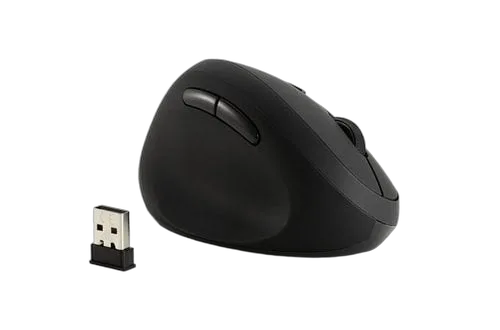 Kensington Pro Fit Ergo Wireless Mouse (K79810WW) — vue 8