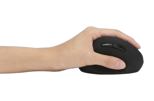 Kensington Pro Fit Ergo Wireless Mouse (K79810WW) — vue 11