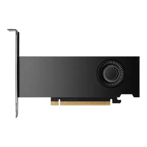 PNY RTX 2000 Ada - RTX2000/16GB/LowProfil — vue 1
