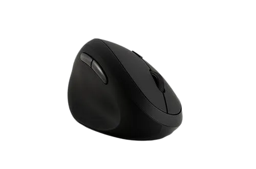 Kensington Pro Fit Ergo Wireless Mouse (K79810WW) — vue 7