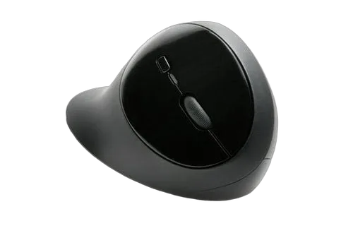 Kensington Pro Fit Ergo Wireless Mouse (K75404EU) — vue 3