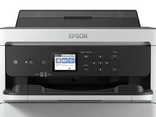 Epson - Magenta - C13T01C300 — vue 5