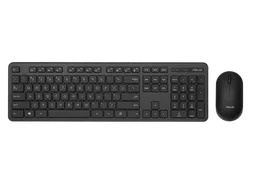 ASUS CW100 Wireless Combo