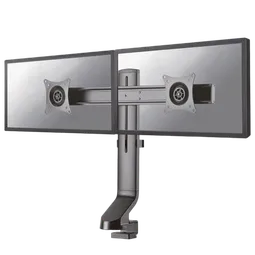 NewStar Flat Screen Desk Mount