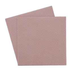 Thermal Grizzly Lot de 2 Minus Pad 8 - 100 x 100 x 1,0 mm