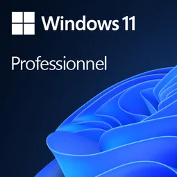Microsoft Windows 11 PRO 64Bits