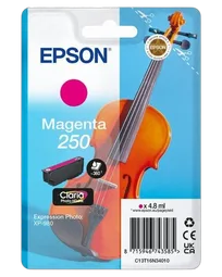 Epson Sglpack MG 250 ink