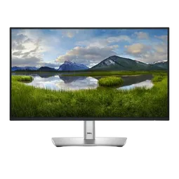 DELL 22 MONITOR - P2225H