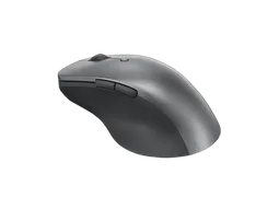 Lenovo PROFESSIONAL BLUETOOTH