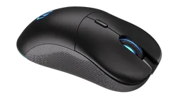 ENDORFY Gem Plus - Sans-Fil - RGB - Noir