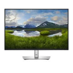 DELL 24 MONITOR - P2425