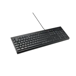 Kensington KB100 EQ STANDARD KEYBOARD -