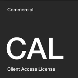 Microsoft Windows Server 2025 CAL Device - 1 Licence OEM