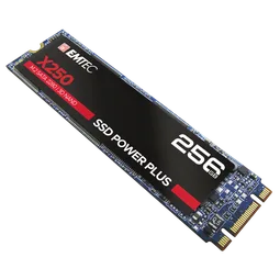 Emtec X250 Power Plus 256Go M.2