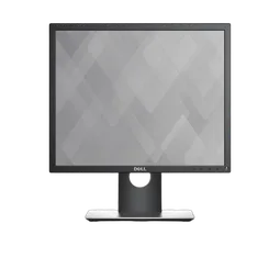 DELL 19 MONITOR - P1917S -