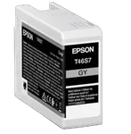 Epson Singlepack Gray T46S7 UltraChrome Pro 10