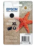 Epson - Noir - C13T03A14010