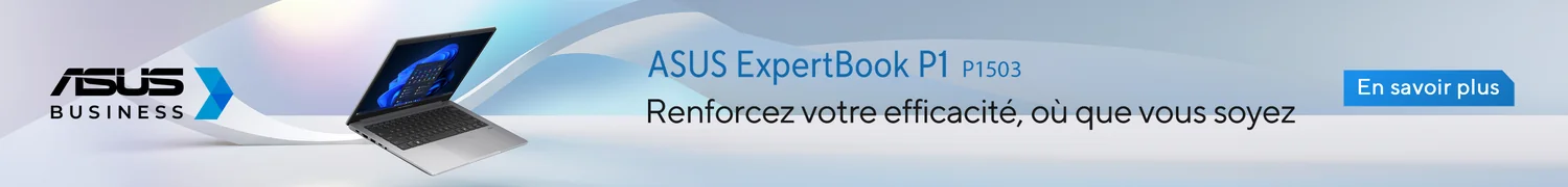 Asus Expertbook P1